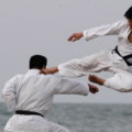 The Science Behind Success: Olympic Karate and Sports Psychology